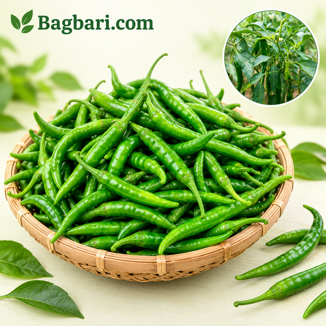 কাঁচা বাজার